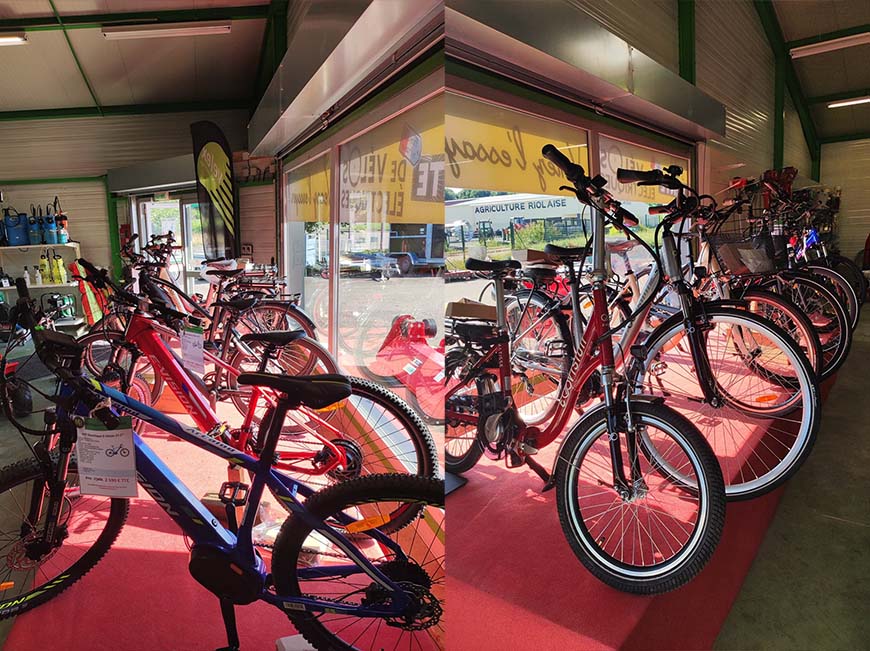 La gamme de Vélo Eléctrique E-VISION (4)